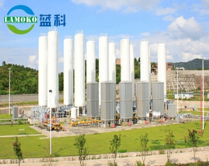 Lng vaporizing station